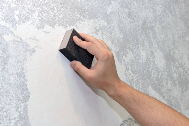 Best Mold Odor Removal Services  in Pardeeville, WI