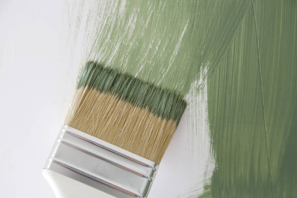 Best Attic Mold Removal  in Pardeeville, WI
