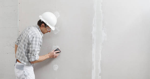 Best Airborne Mold Testing  in Pardeeville, WI