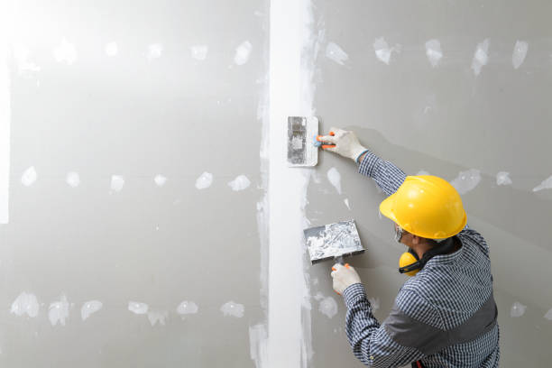 Best Mold Prevention Services  in Pardeeville, WI