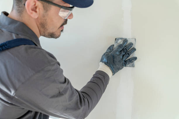 Biohazard Mold Removal in Pardeeville, WI