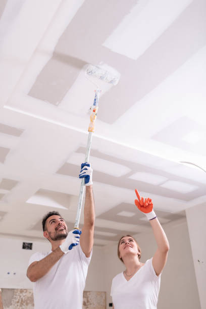 Best Mold Damage Restoration  in Pardeeville, WI