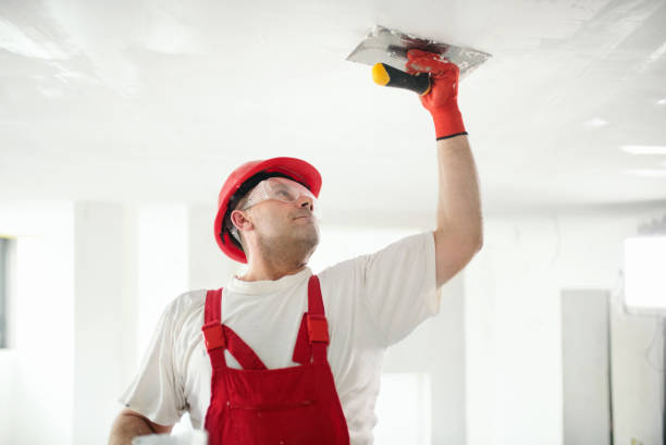 Best Mold Documentation for Insurance Claims  in Pardeeville, WI