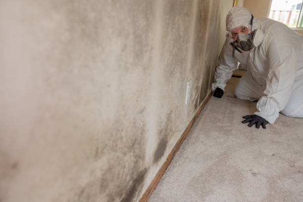 Best Crawl Space Mold Remediation  in Pardeeville, WI