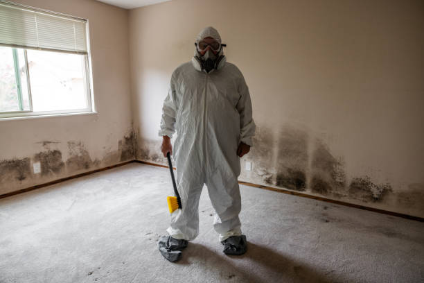 Best Environmental Consulting for Mold Prevention  in Pardeeville, WI
