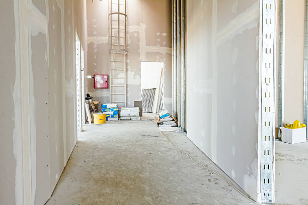 Best Real Estate Mold Inspection  in Pardeeville, WI