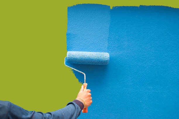 Best Basement Mold Removal  in Pardeeville, WI