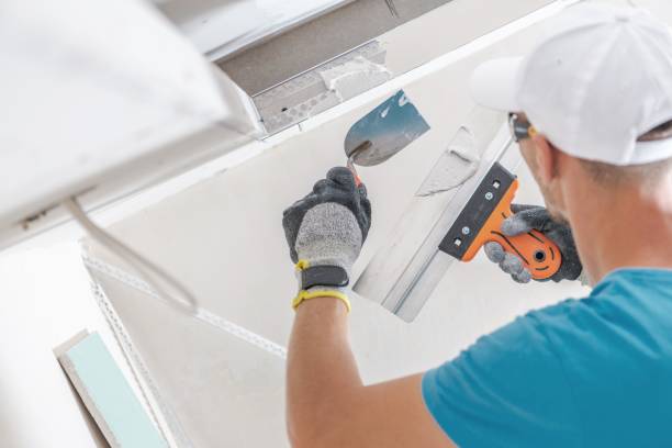 Best Comprehensive Air Testing for Mold Contaminants  in Pardeeville, WI